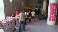 10/11ピンクリボンフェスin北本